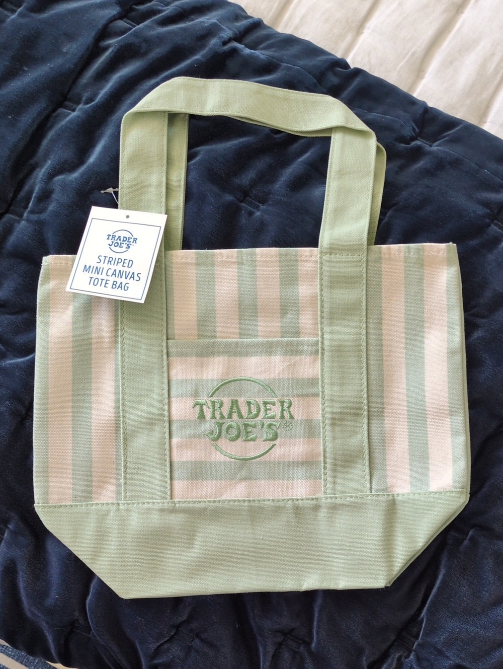 Trader Joe's Striped Canvas Tote Bag in Sage and Cream